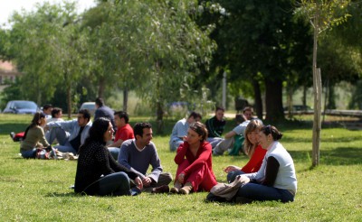 5 people sitting on the grass