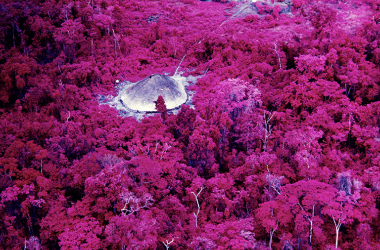 Reimagining Amazonia