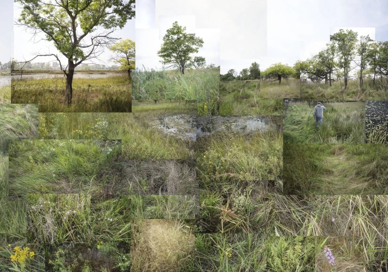 Bridging The Gap between the Glacier and the Prairie