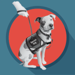Image of service dog, link to final paper on training of service animals