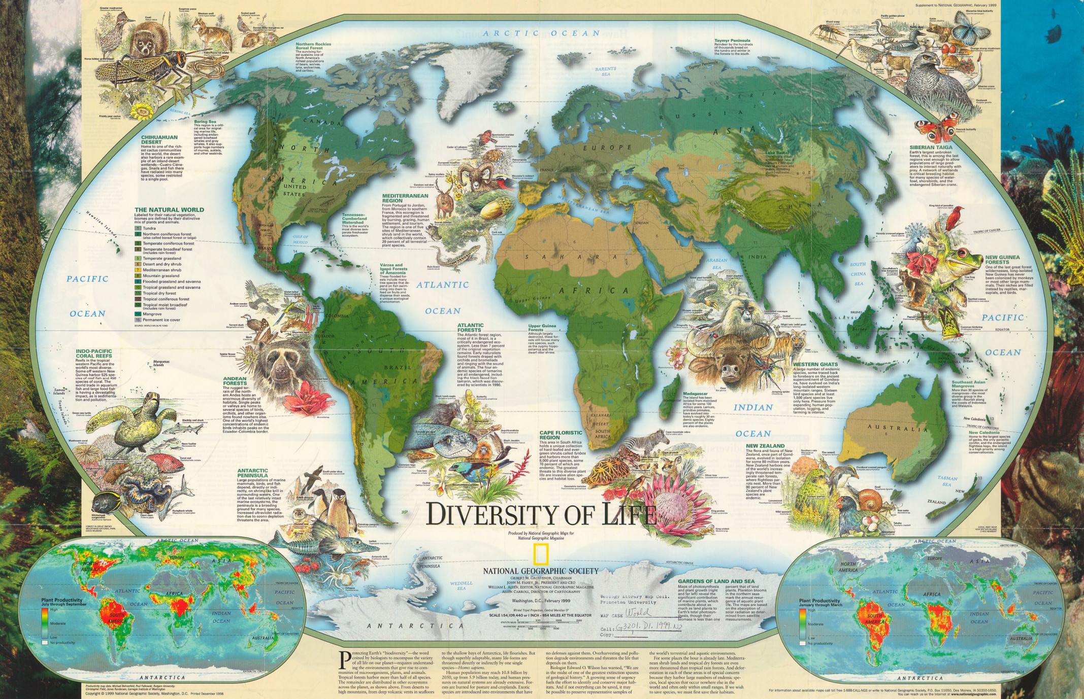 world diversity map