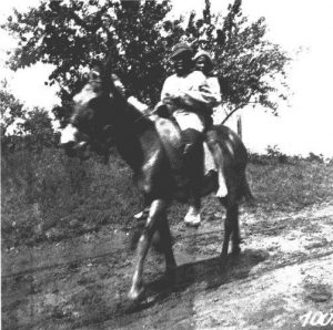 Two Negro boys on a donkey. Marshall, Texas. 1899-1900.