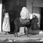 Two figures in burnous with a donkey in front of a store. Tunisia. 1905.